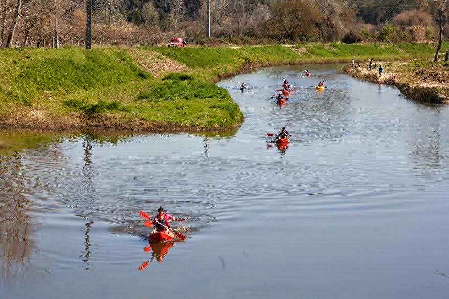 Remar Contra a Maré