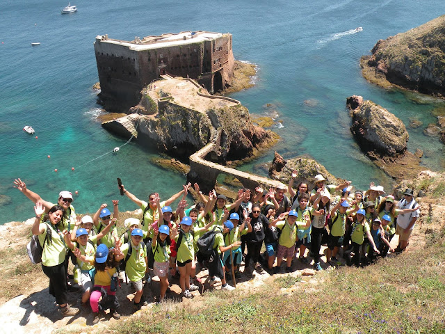 A Civilização Sobrevivente