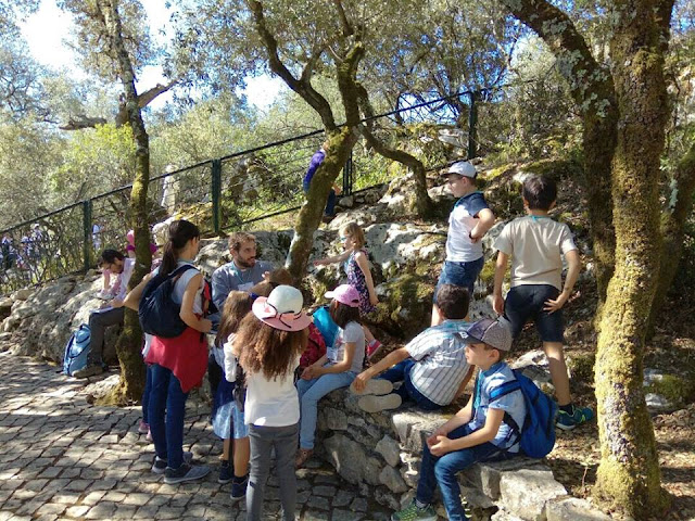 Catequese em Peregrinação